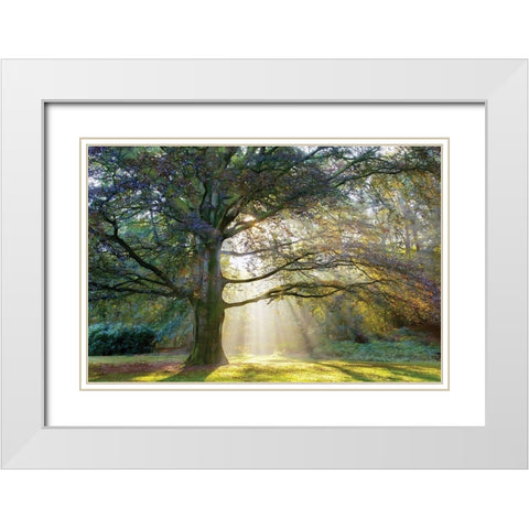 The Natural White Modern Wood Framed Art Print with Double Matting by Van de Goor, Lars