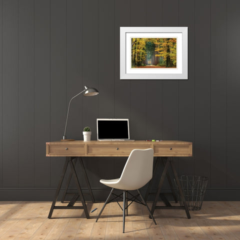 Yellow Gate White Modern Wood Framed Art Print with Double Matting by Van de Goor, Lars