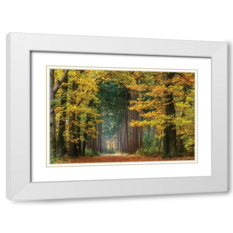 Yellow Gate White Modern Wood Framed Art Print with Double Matting by Van de Goor, Lars