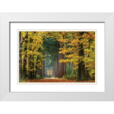 Yellow Gate White Modern Wood Framed Art Print with Double Matting by Van de Goor, Lars