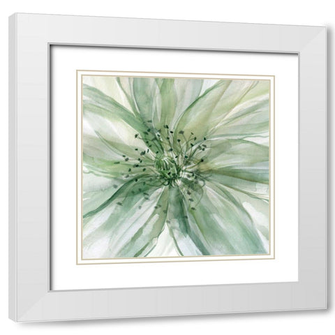 Macro Sage Flower White Modern Wood Framed Art Print with Double Matting by Robinson, Carol