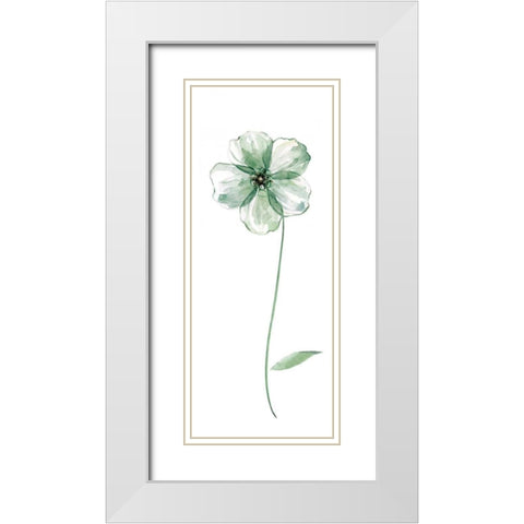 Sage Flower II White Modern Wood Framed Art Print with Double Matting by Robinson, Carol
