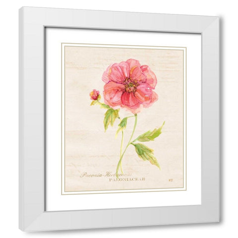 Botanical Peony White Modern Wood Framed Art Print with Double Matting by Robinson, Carol
