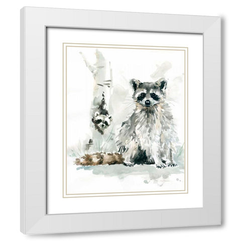 Raccoon and Baby White Modern Wood Framed Art Print with Double Matting by Robinson, Carol