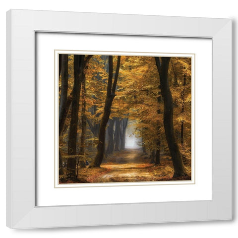 Speuldimensions White Modern Wood Framed Art Print with Double Matting by Van de Goor, Lars