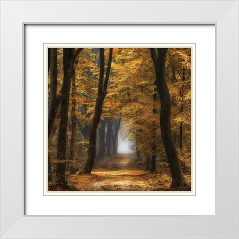 Speuldimensions White Modern Wood Framed Art Print with Double Matting by Van de Goor, Lars