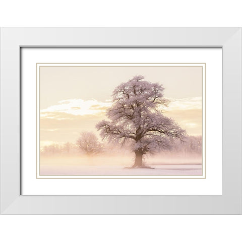 Winter Glow White Modern Wood Framed Art Print with Double Matting by Van de Goor, Lars