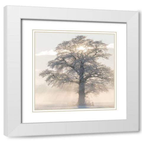 Winter King White Modern Wood Framed Art Print with Double Matting by Van de Goor, Lars