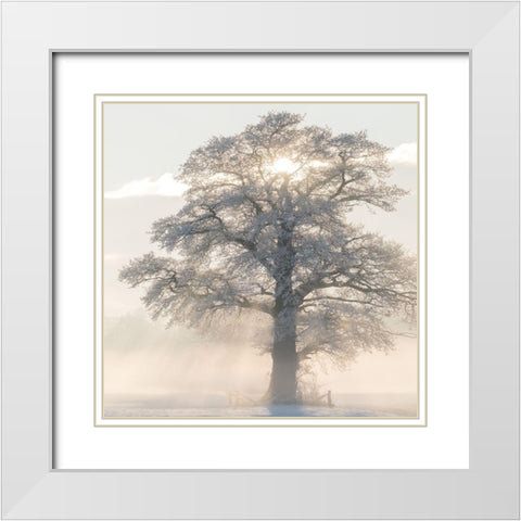Winter King White Modern Wood Framed Art Print with Double Matting by Van de Goor, Lars