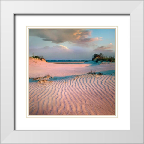 Little Talbot White Modern Wood Framed Art Print with Double Matting by Delimont, Danita
