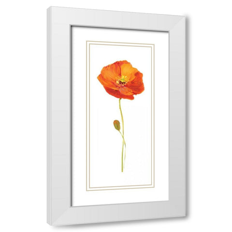 Poppy Pop II White Modern Wood Framed Art Print with Double Matting by Nan