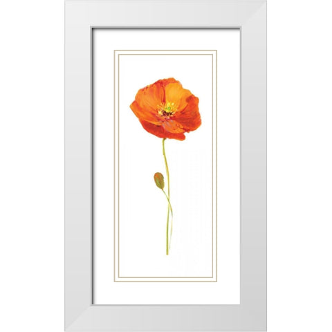 Poppy Pop II White Modern Wood Framed Art Print with Double Matting by Nan