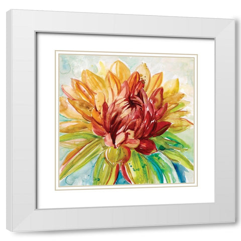 Rainbow Dahlia White Modern Wood Framed Art Print with Double Matting by Robinson, Carol