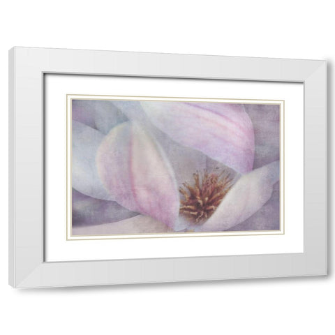 Magnolia Melody II White Modern Wood Framed Art Print with Double Matting by Weisz, Irene