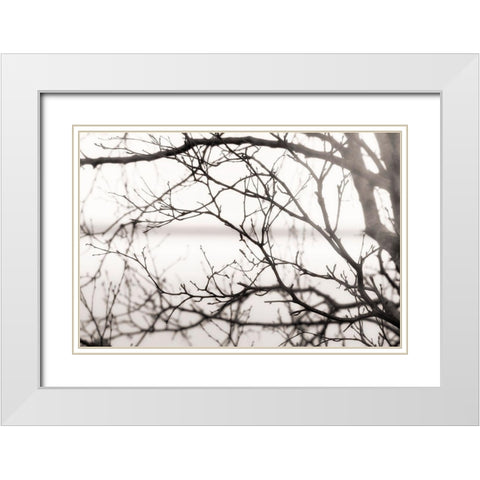 After the Rain White Modern Wood Framed Art Print with Double Matting by Delimont, Danita