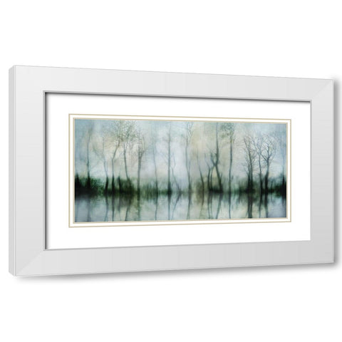 Mirrored Pond White Modern Wood Framed Art Print with Double Matting by Weisz, Irene