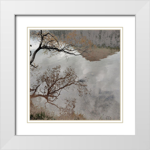 Warm Afternoon II White Modern Wood Framed Art Print with Double Matting by Weisz, Irene