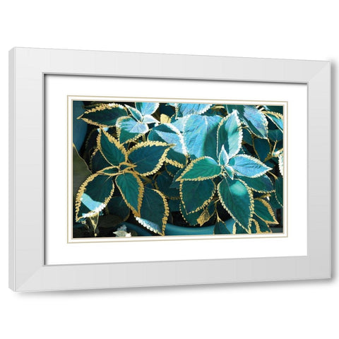 Tropical Leaves White Modern Wood Framed Art Print with Double Matting by Nan