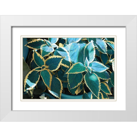 Tropical Leaves White Modern Wood Framed Art Print with Double Matting by Nan