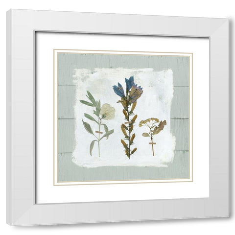 Pressed Flowers on White Modern Wood Framed Art Print with Double Matting by Robinson, Carol