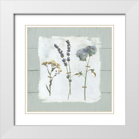 Pressed Flowers on White Modern Wood Framed Art Print with Double Matting by Robinson, Carol