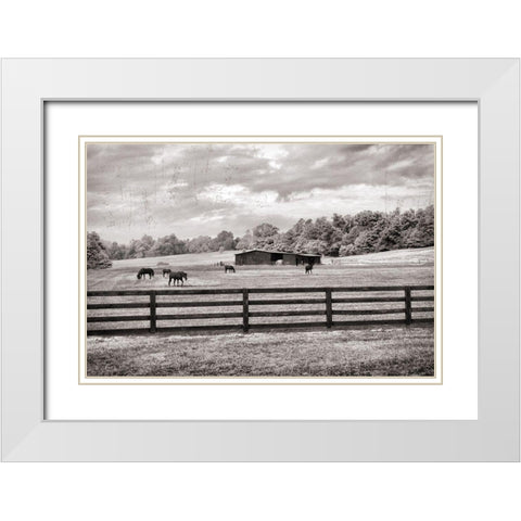 Horse Country White Modern Wood Framed Art Print with Double Matting by Nan