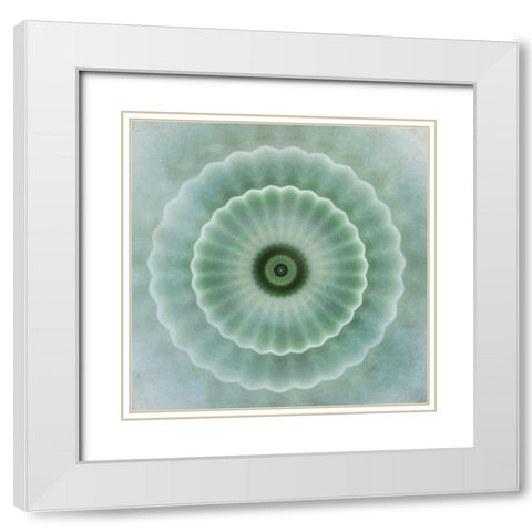 Kaleidoscope Succulent I White Modern Wood Framed Art Print with Double Matting by Weisz, Irene