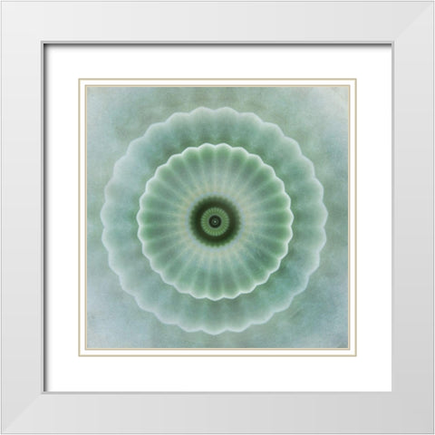 Kaleidoscope Succulent I White Modern Wood Framed Art Print with Double Matting by Weisz, Irene