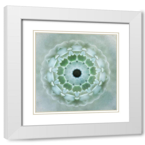 Kaleidoscope Succulent II White Modern Wood Framed Art Print with Double Matting by Weisz, Irene