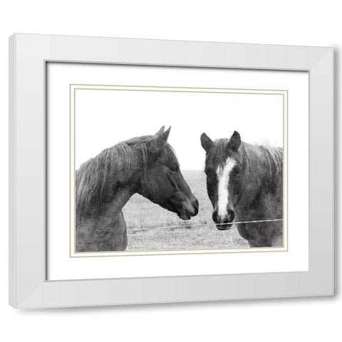 Wild Pastures White Modern Wood Framed Art Print with Double Matting by Robinson, Carol