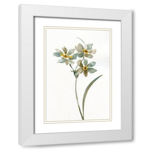 Neutral Botanical I White Modern Wood Framed Art Print with Double Matting by Nan