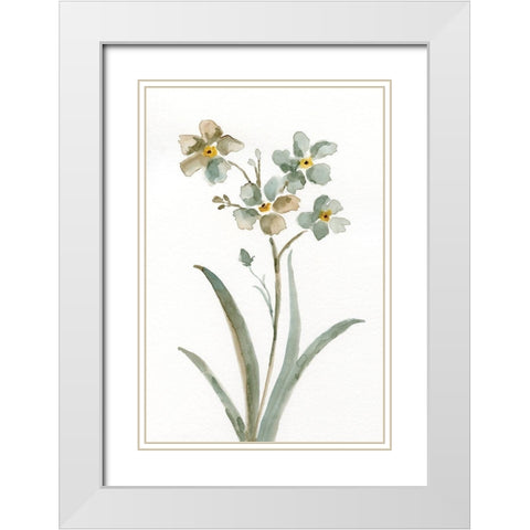 Neutral Botanical II White Modern Wood Framed Art Print with Double Matting by Nan