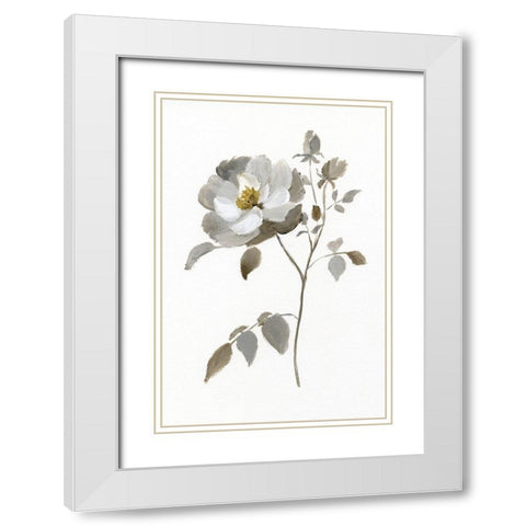 Neutral Rose II White Modern Wood Framed Art Print with Double Matting by Nan