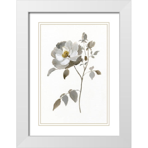 Neutral Rose II White Modern Wood Framed Art Print with Double Matting by Nan