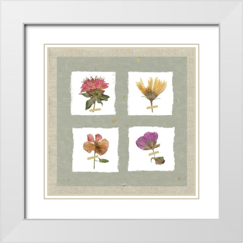 Pressed Blooms II White Modern Wood Framed Art Print with Double Matting by Robinson, Carol