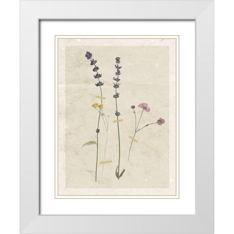 Pressed Lavender White Modern Wood Framed Art Print with Double Matting by Robinson, Carol