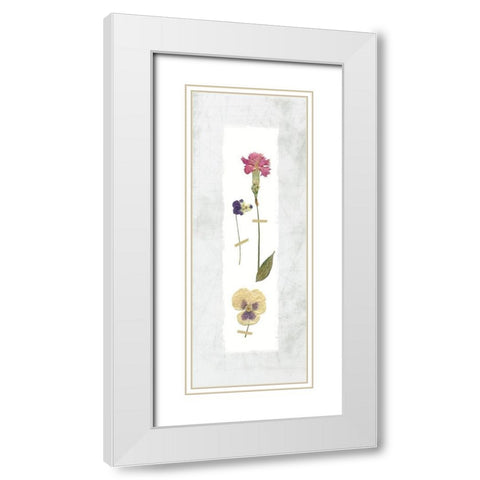 Pressed Panel II White Modern Wood Framed Art Print with Double Matting by Robinson, Carol