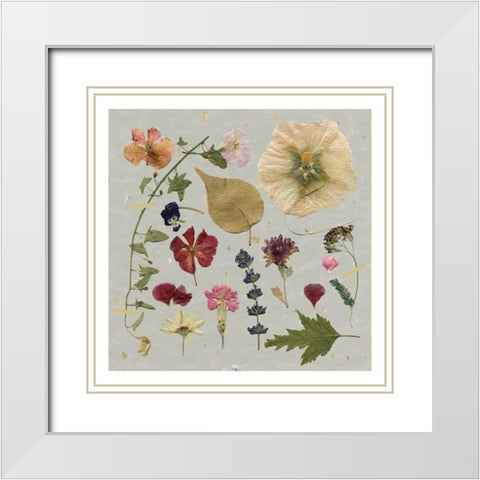 Pressed Assortment White Modern Wood Framed Art Print with Double Matting by Robinson, Carol