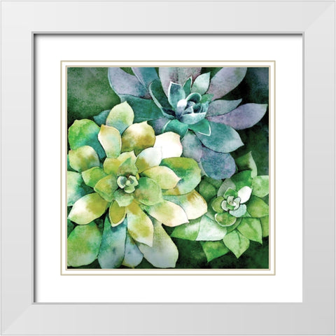 Summer Succulents White Modern Wood Framed Art Print with Double Matting by Knutsen, Conrad