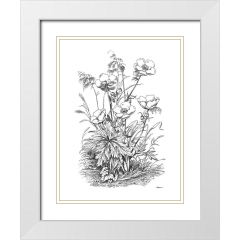 Botanical Black and White Modern Wood Framed Art Print with Double Matting by Donovan, Kelly