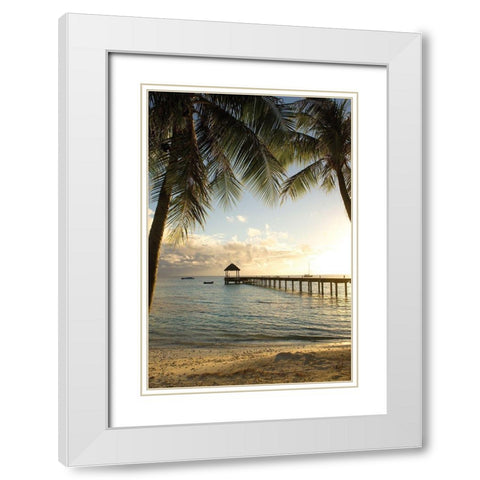 Pier and Palm White Modern Wood Framed Art Print with Double Matting by Delimont, Danita