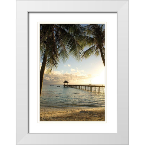 Pier and Palm White Modern Wood Framed Art Print with Double Matting by Delimont, Danita