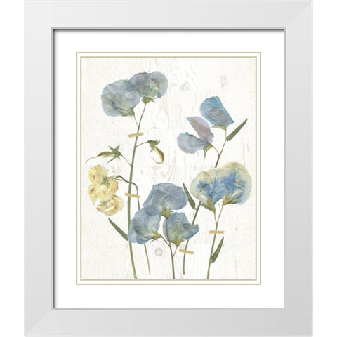 Blue Sweet Peas I White Modern Wood Framed Art Print with Double Matting by Robinson, Carol
