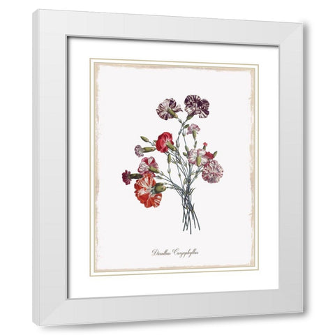 Botanical Carnation White Modern Wood Framed Art Print with Double Matting by Donovan, Kelly