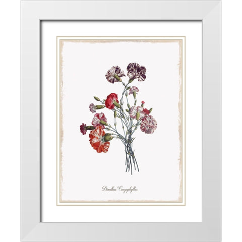Botanical Carnation White Modern Wood Framed Art Print with Double Matting by Donovan, Kelly
