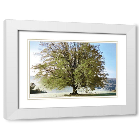 Season of Summer White Modern Wood Framed Art Print with Double Matting by Weisz, Irene