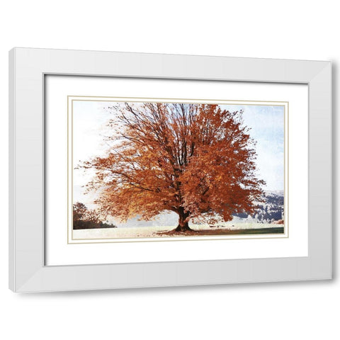 Season of Fall White Modern Wood Framed Art Print with Double Matting by Weisz, Irene