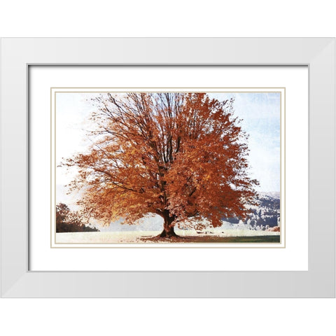 Season of Fall White Modern Wood Framed Art Print with Double Matting by Weisz, Irene