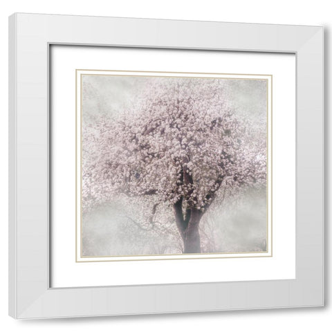 Blossoms of Spring III White Modern Wood Framed Art Print with Double Matting by Weisz, Irene