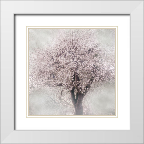 Blossoms of Spring III White Modern Wood Framed Art Print with Double Matting by Weisz, Irene
